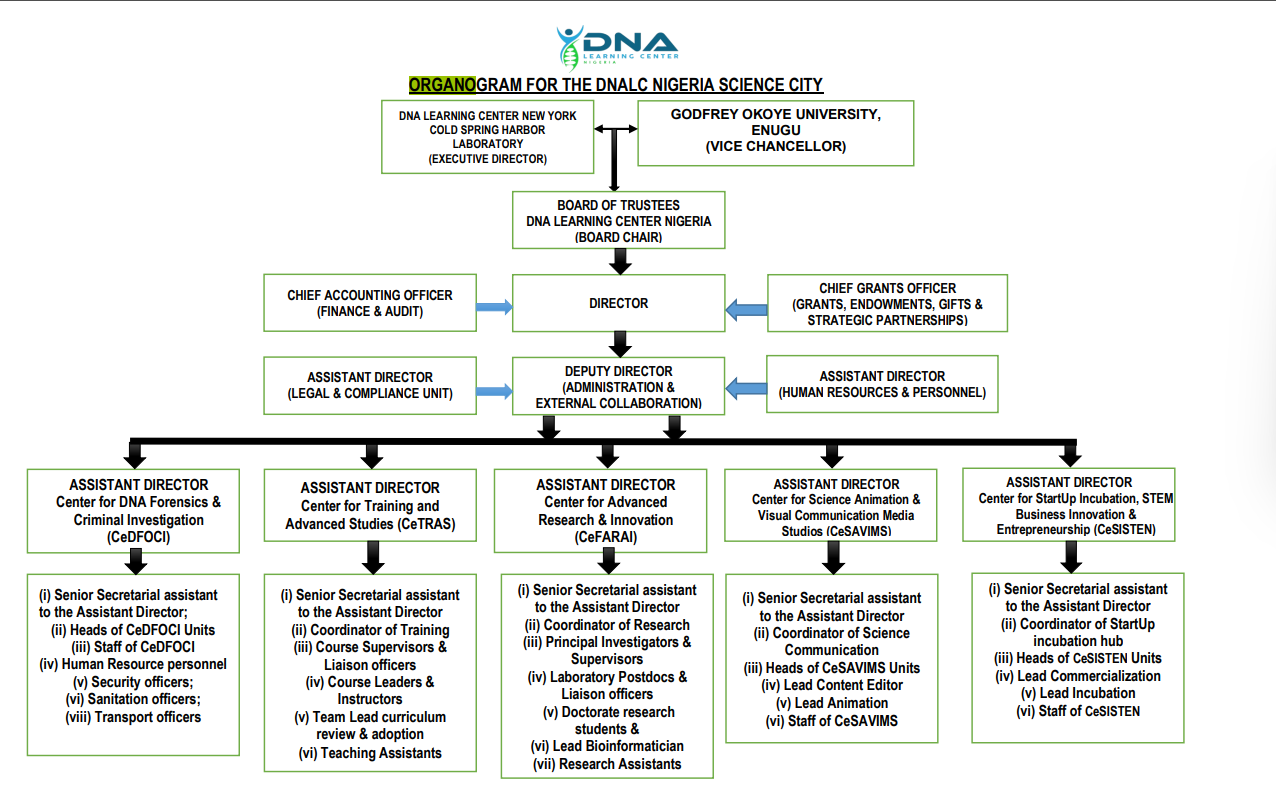 organogram